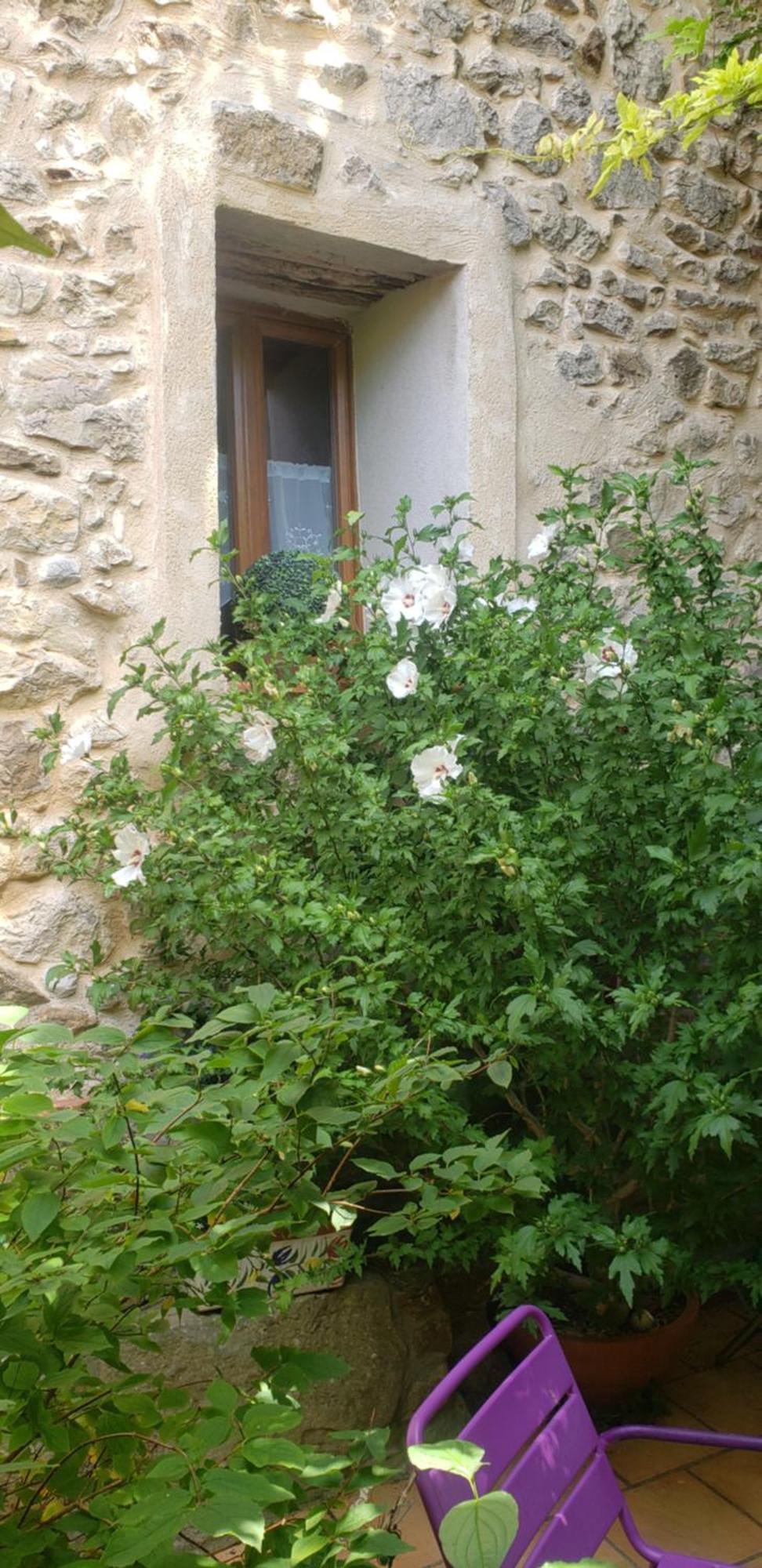 Le Chateau Camps-sur-l'Agly Eksteriør bilde