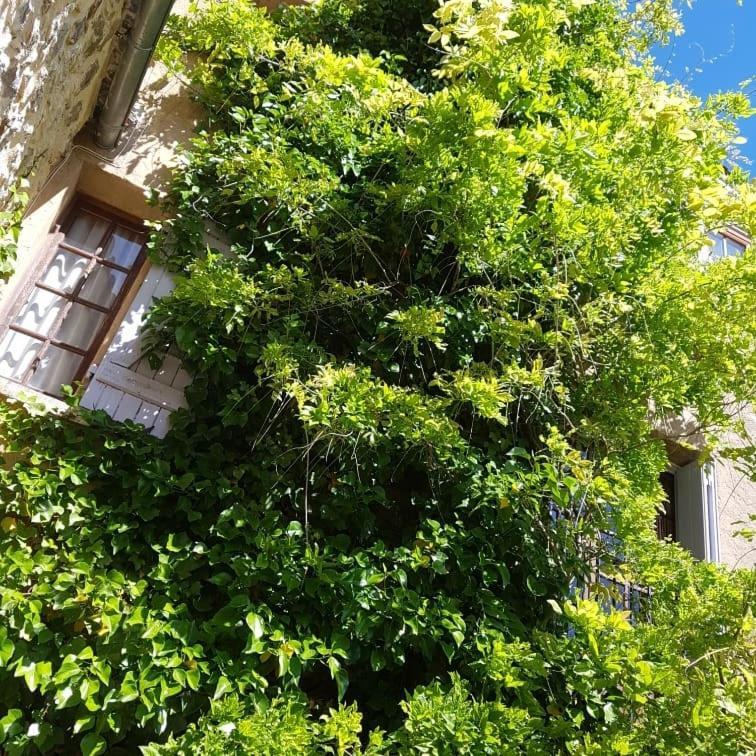 Le Chateau Camps-sur-l'Agly Eksteriør bilde